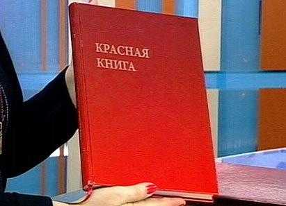 Контрольная работа: Пути охраны флоры. Красные книги